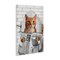 Stupell Industries Whimsy Cat on Toilet Canvas, design by Matthew Piotrowicz